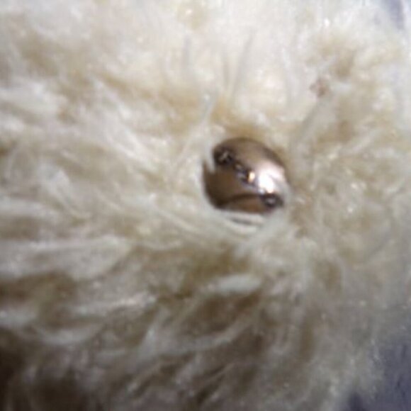 2020 FAO Schwarz Plush Teddy Bear 10" Curly Cream Peach Bow Stuffed Animal - Picture 6 of 6